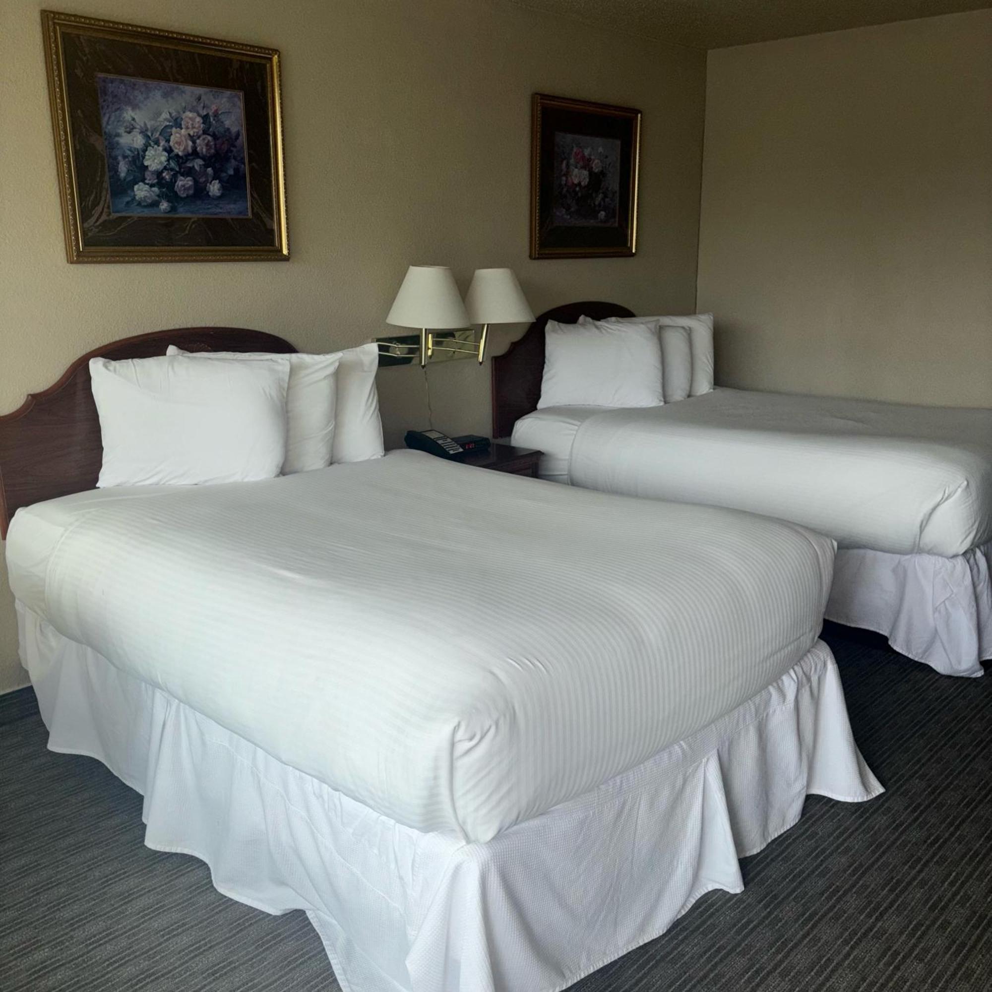 Unique Suites Hotel Charleston Extérieur photo