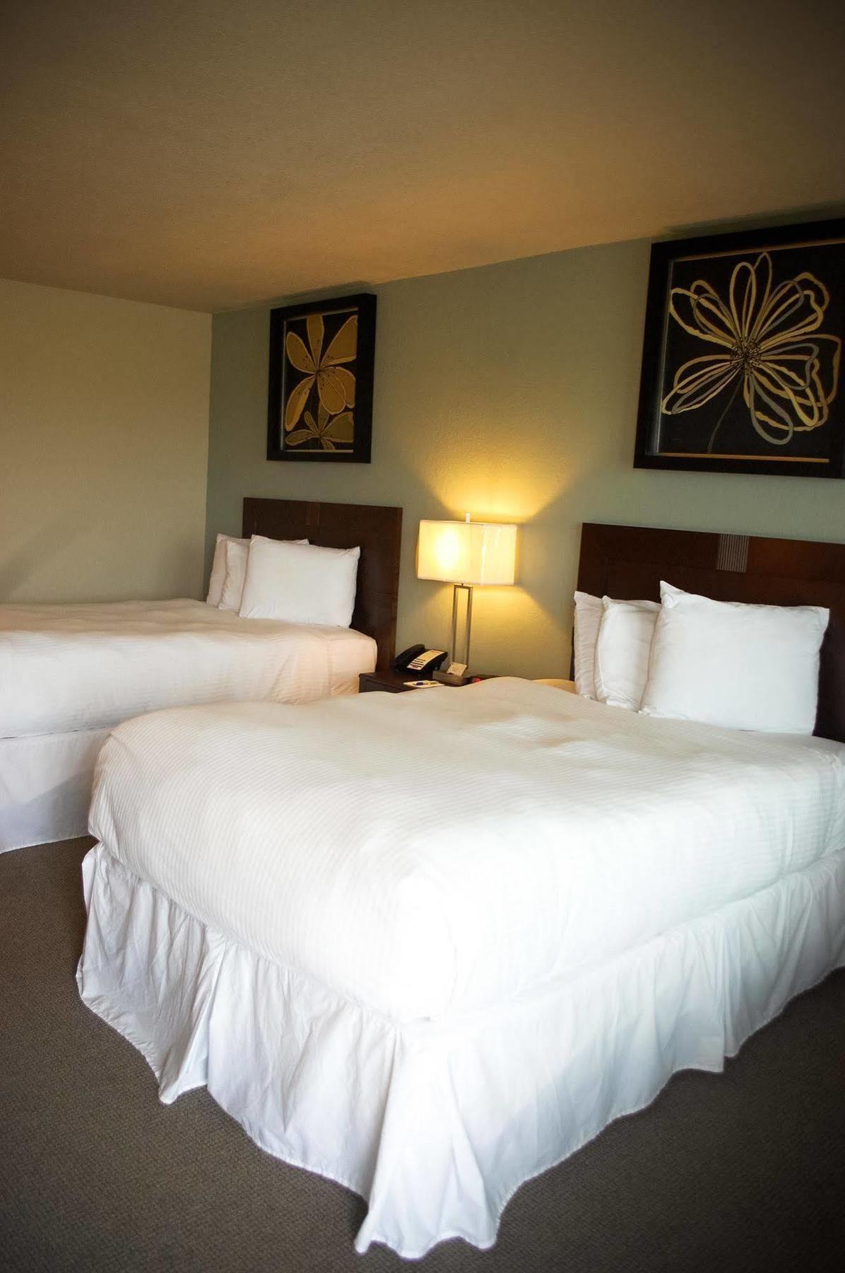 Unique Suites Hotel Charleston Extérieur photo